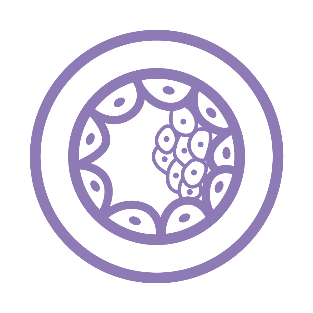 Embryo Donation and Adoption