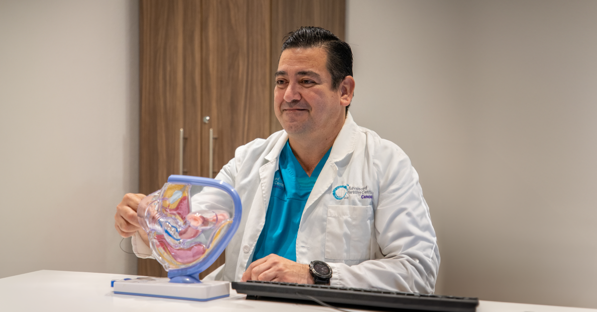 Inseminación Artificial