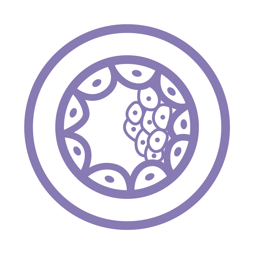 Embryo Donation and Adoption