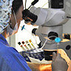 laboratory facilities - IVF in Mexico, In Vitro Fertilitzation