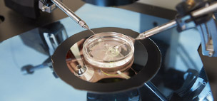 laboratory facilities - In Vitro Fertilization