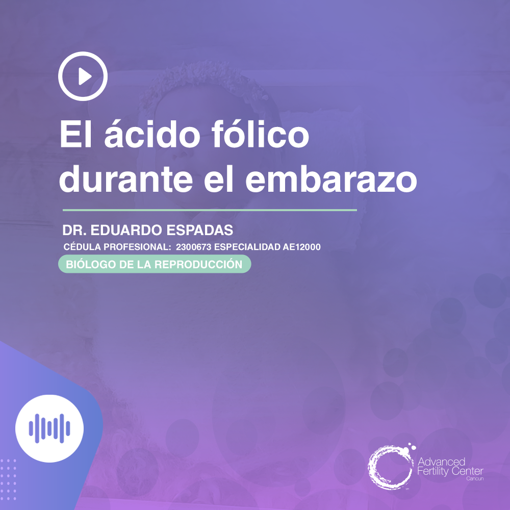 El ácido fólico durante el embarazo