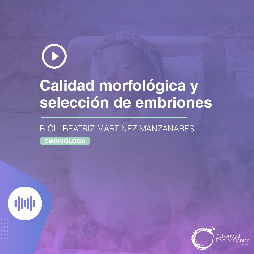 Calidad morfológica y selección de embriones