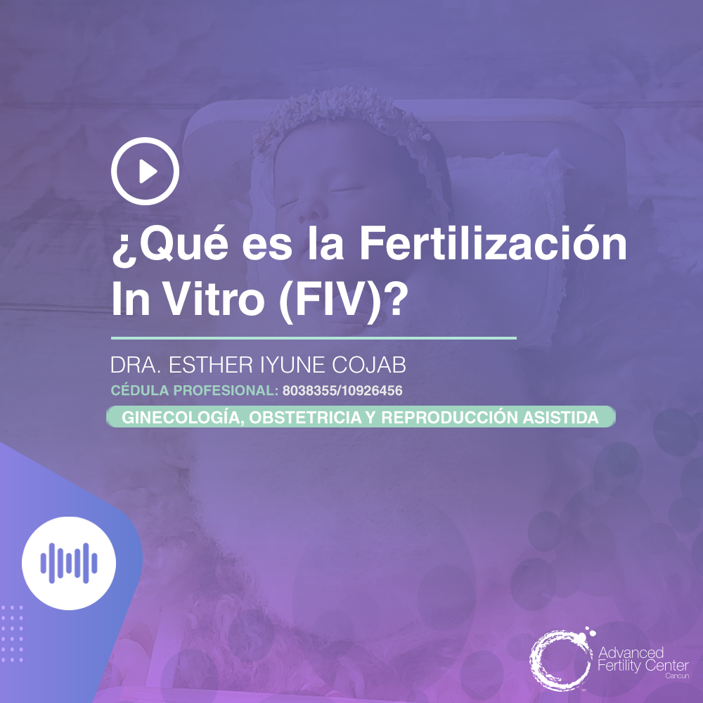 ¿Qué es la Fertilización In Vitro?