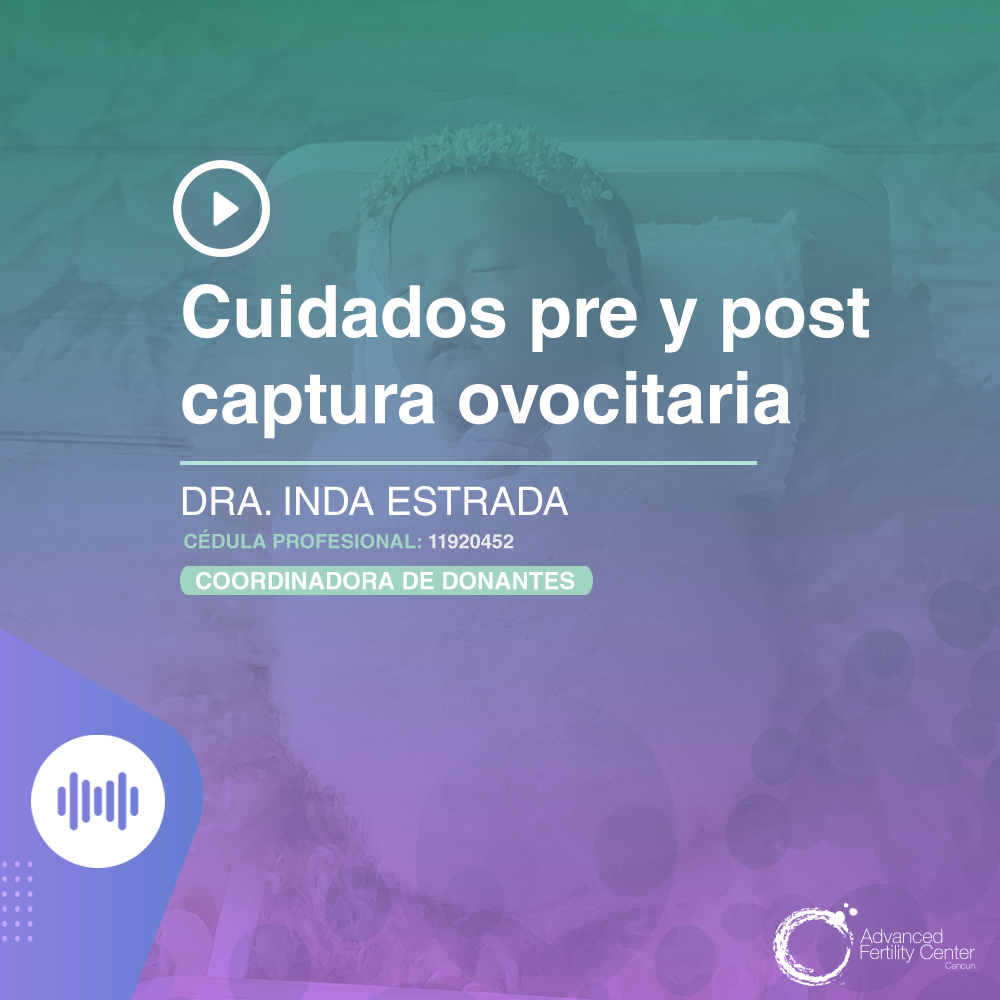 Cuidados pre y post captura ovocitaria