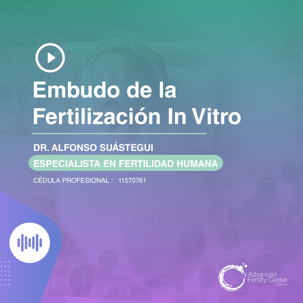 Embudo de la Fertilización In Vitro