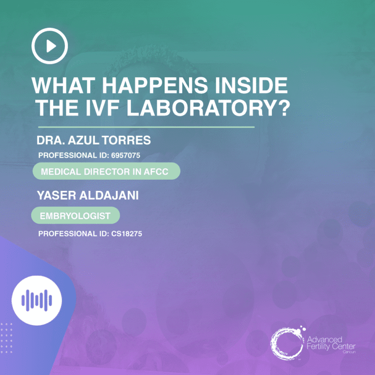 What happens inside the IVF laboratory?