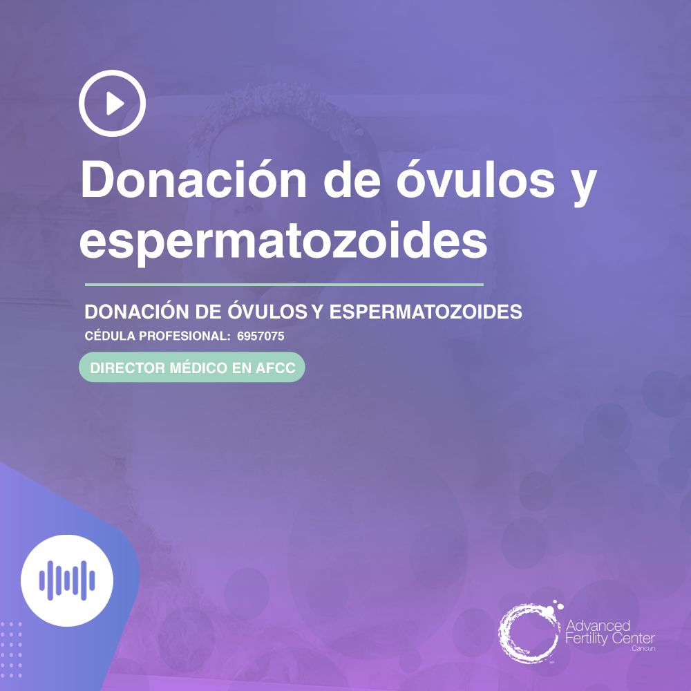 Donación de óvulos y espermatozoides