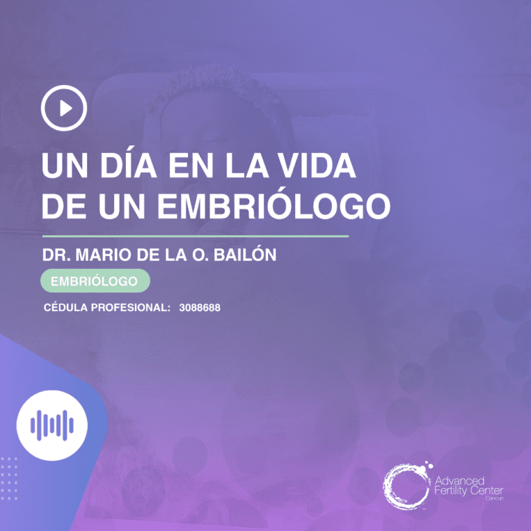 Un día en la vida de un embriólogo.