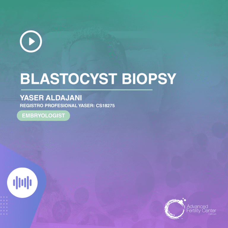 Blastocyst biopsy