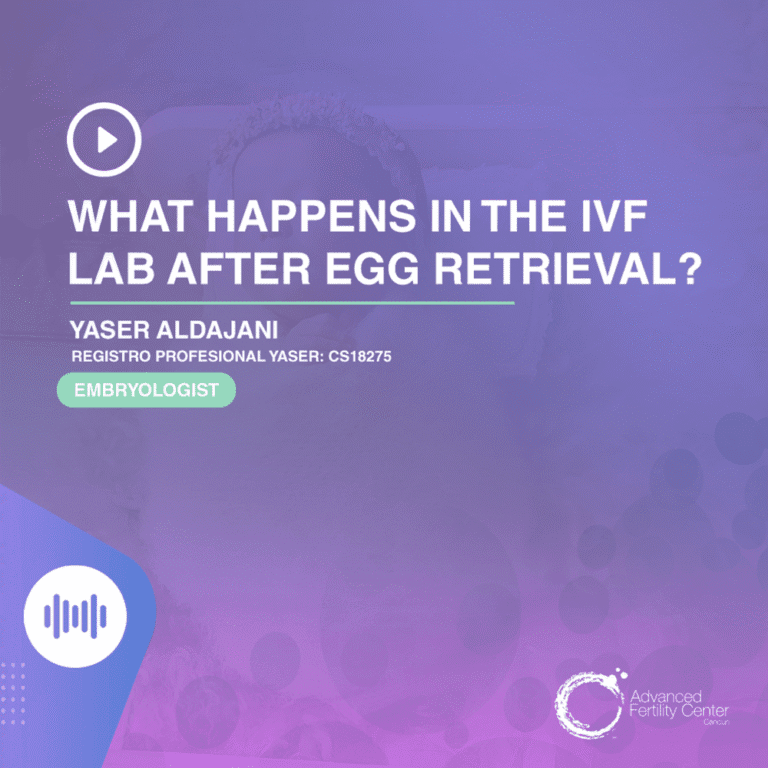 E17 - What happens after egg retrieval?