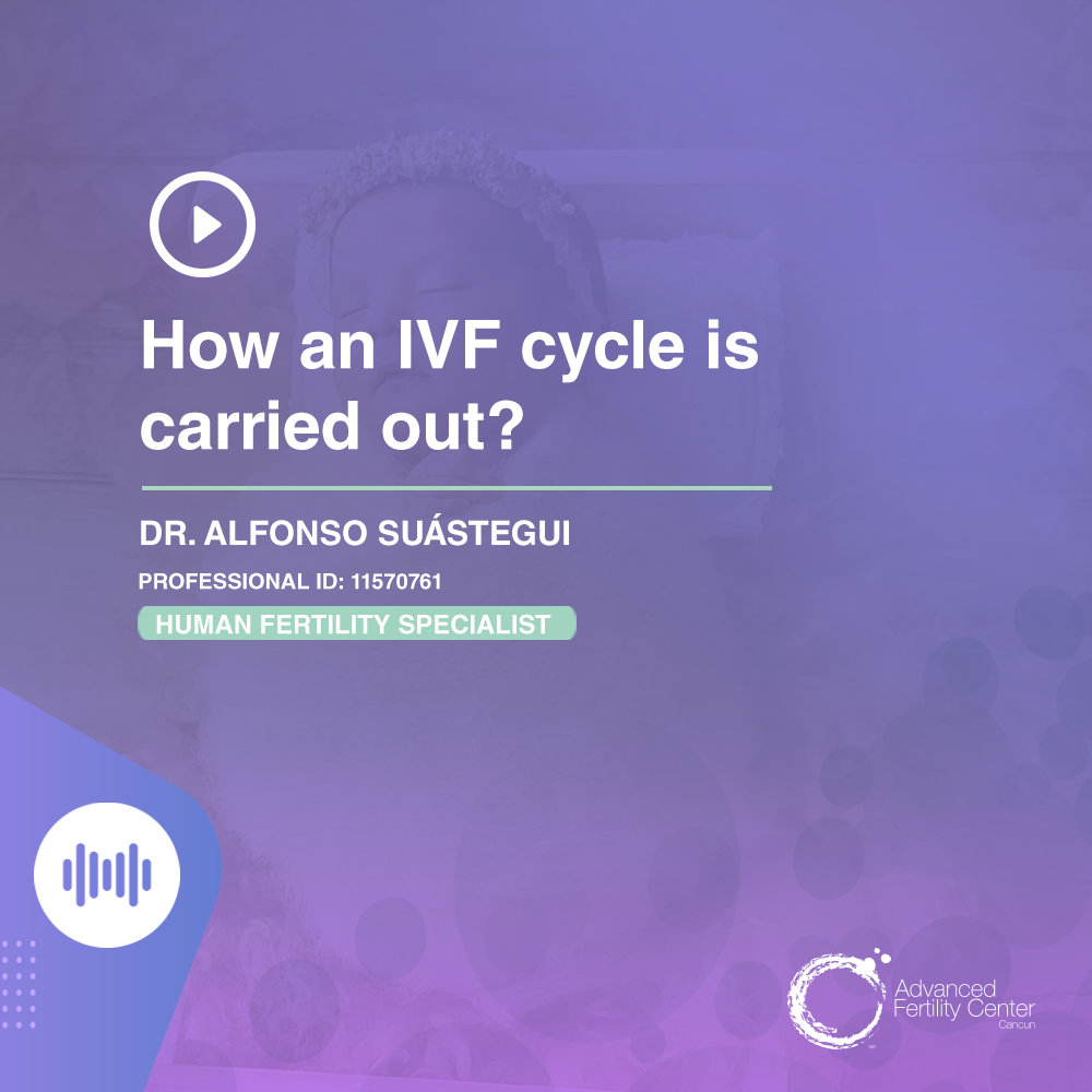 How an IVF cycle is carried out