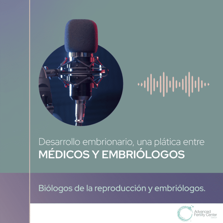 Desarrollo embrionario